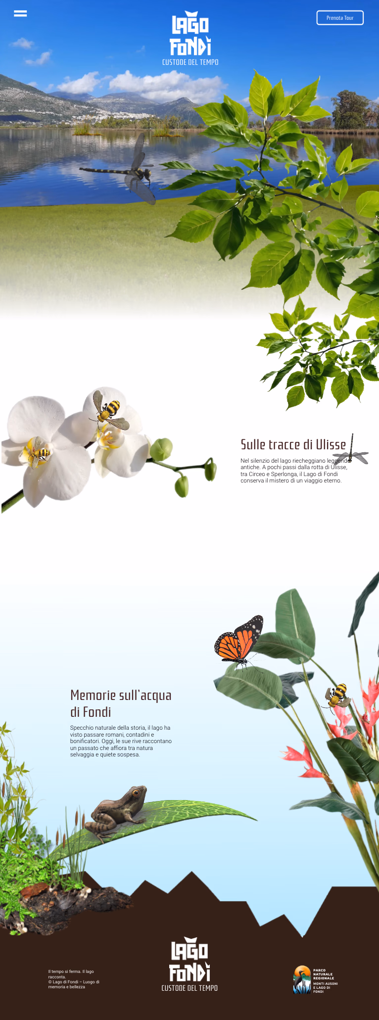 DORA Platform - Dashboard